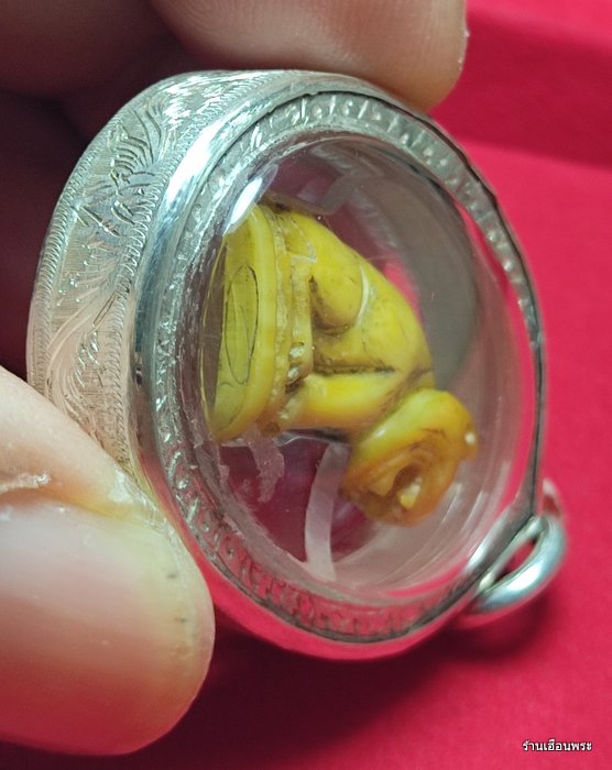 เขี้ยวเสือหลวงพ่อสาย วัดคลองด่าน จ.สมุทรปราการ พิมพ์อ้าปาก