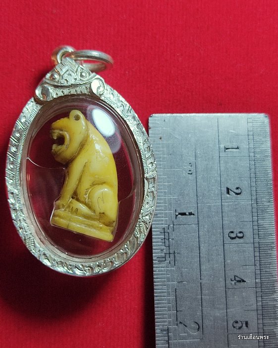 เขี้ยวเสือหลวงพ่อสาย วัดคลองด่าน จ.สมุทรปราการ พิมพ์อ้าปาก