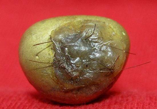 พระปิดตาก้นอุดพร้อมเกศา หลวงปู่แย้ม วัดตะเคียน จ.นนทบุรี