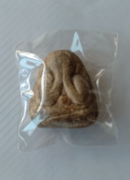 พระปิดตาหลวงพ่อทอง วัดเขากระจิว จ.เพชรบุรี