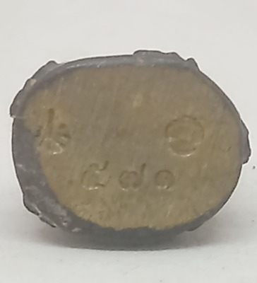 เสือคาบหาง มหาอุตต์( ตัวครู) หลวงปู่บุญมา  สำนักสงฆ์เขาแก้วทอง. ปราจีนบุรี