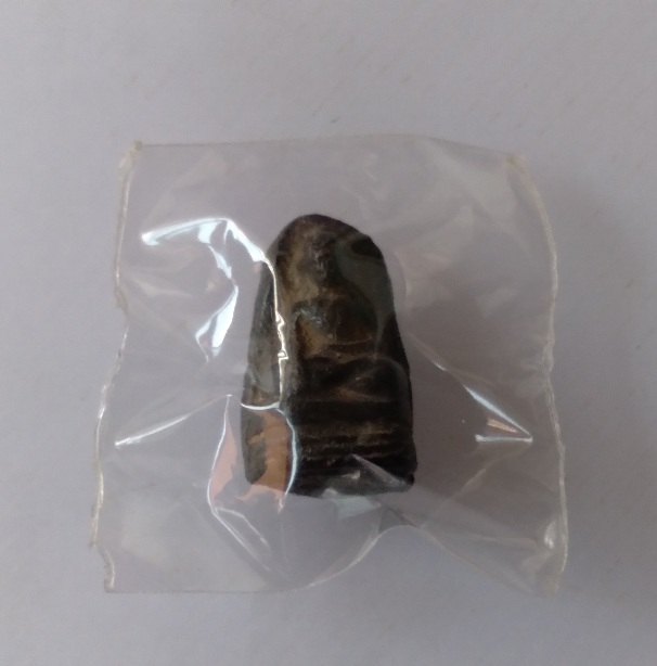 พระผงเกศาครูบาศรีวิชัย พิมพ์พระรอด