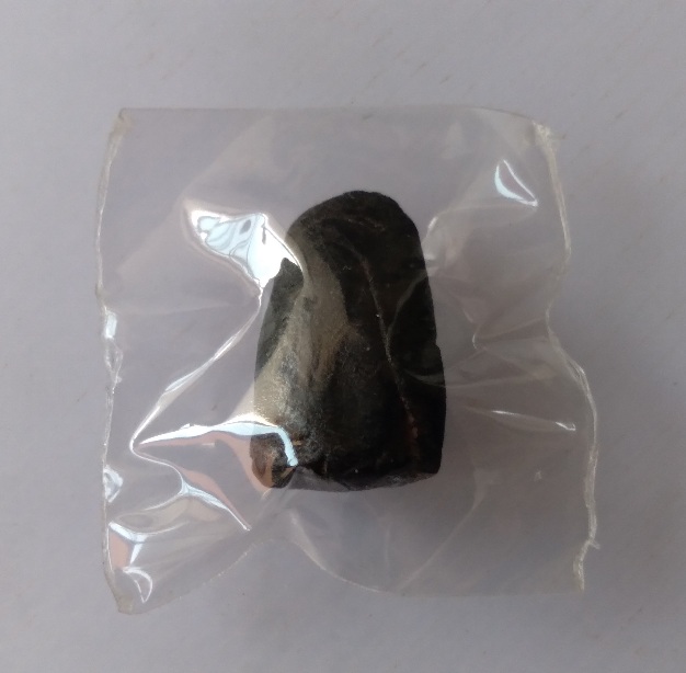 พระผงเกศาครูบาศรีวิชัย พิมพ์พระรอด