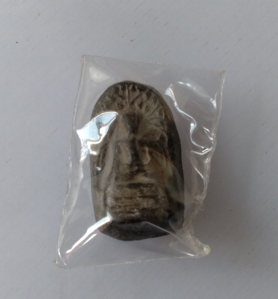 พระคงเนื้อดินไม่ทราบที่