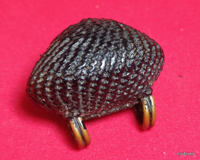 เบี้ยแก้ หลวงปู่เจือ วัดกลางบางแก้ว ยุคแรก จ.นคร