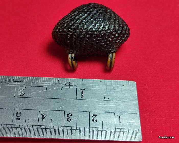 เบี้ยแก้ หลวงปู่เจือ วัดกลางบางแก้ว ยุคแรก จ.นคร