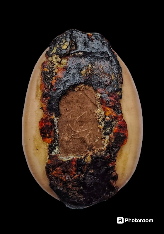 เบี้ยแก้หลวงพ่อคำ ปัญญาสาโร วัดโพธิ์ปล้ำ อำเภอวิเศษชัยชาญ จังหวัดอ่างทอง