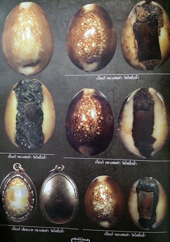 เบี้ยแก้หลวงพ่อคำ ปัญญาสาโร วัดโพธิ์ปล้ำ อำเภอวิเศษชัยชาญ จังหวัดอ่างทอง