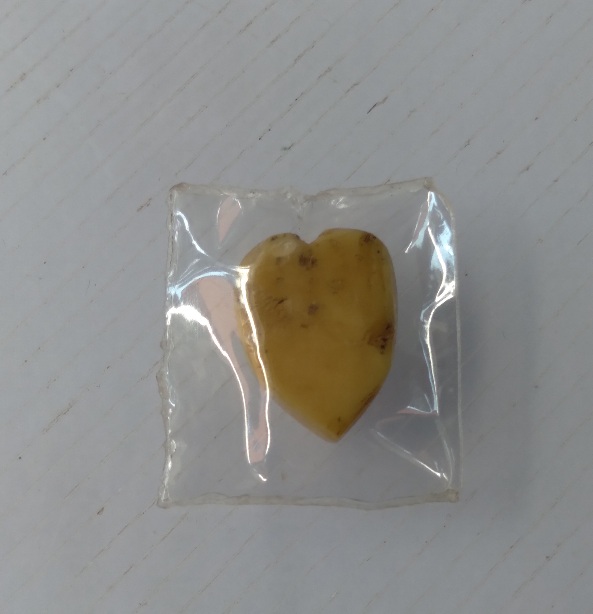 เครื่องรางหัวใจแกะเก่า