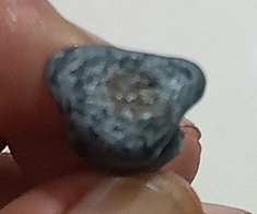 รูปหล่อครูบาอินสม