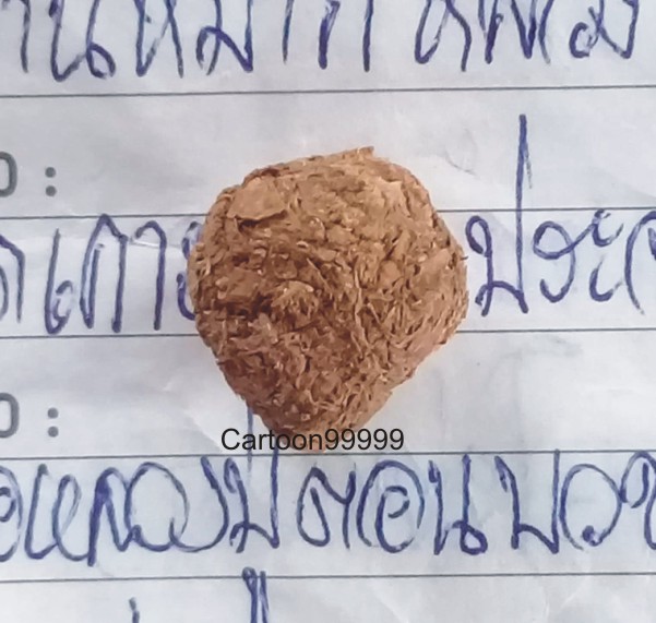 ลูกอมชานหมาก หลวงพ่อเกตุ วัดเกาะหลัก ประจวบคีรีขันต์ครับ 