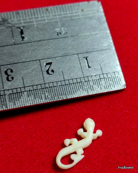 จิ้งจกสาริกา (เคาะเดียวแดง) เนื้องาแกะหลวงพ่อหน่าย วัดบ้านแจ้ง 