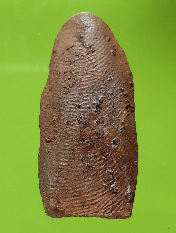 พระรอดเนื้อดิน 