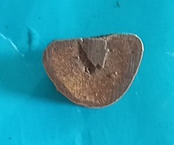 รูปหล่อหลวงพ่อบุญตา วัดคลองเกตุ จังหวัดลพบุรี ปี 2534 ตอกโค๊ต