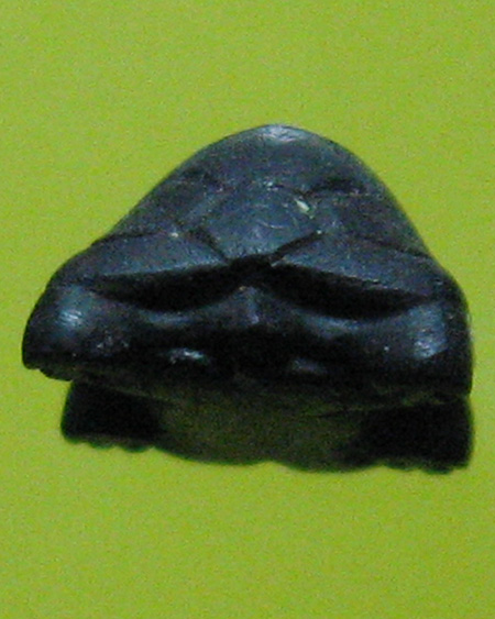 อาจารย์ประเวศน์ คงเอียด สำนักสักยันต์ อ.บางปะหัน จ.อยุธยา