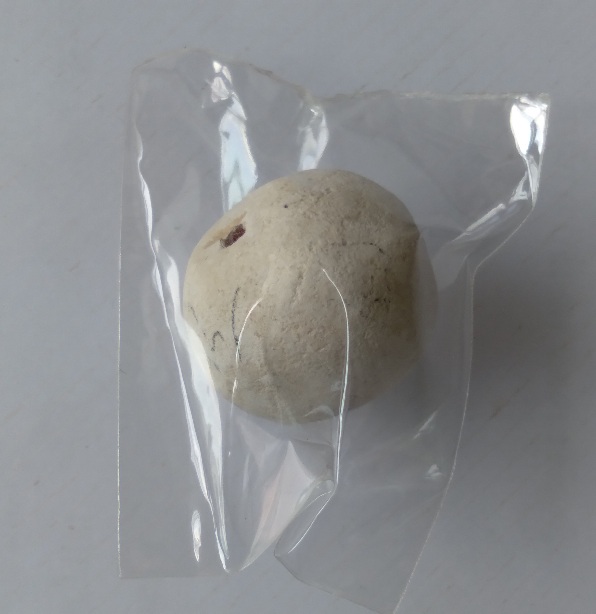 ลูกอมเนื้อผงกรรมฐานหลวงปู่ดู่ วัดสะแก จ.อยุธยา