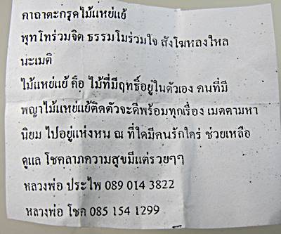 ตะกรุดไม้แหย่แย้ (มีฤทธิ์ในตัว เมตตามหานิยม คนรักใคร่ โชคลาภ )