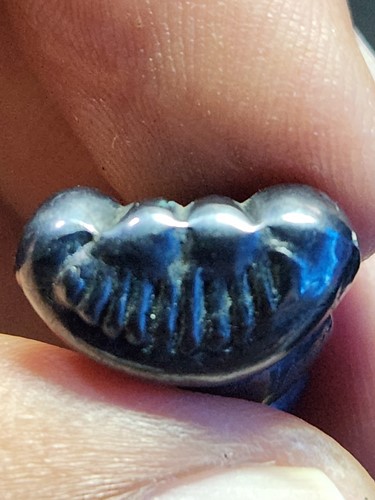 วัดหลุมดิน จ.ราชบุรี พระปิดตา หลวงพ่อปล้อง อนุสรณ์ ๑๐๙ ปี  รุ่นสอง ปี ๒๕๓๖ เนื้อเมฆพัตร์  มีจาร