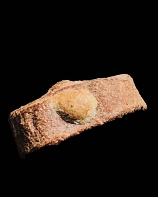 พระหลวงพ่อปานพิมพ์ไก่จิ๋ว วัดโคกเสือ ปี2505 เนื้อดิน 