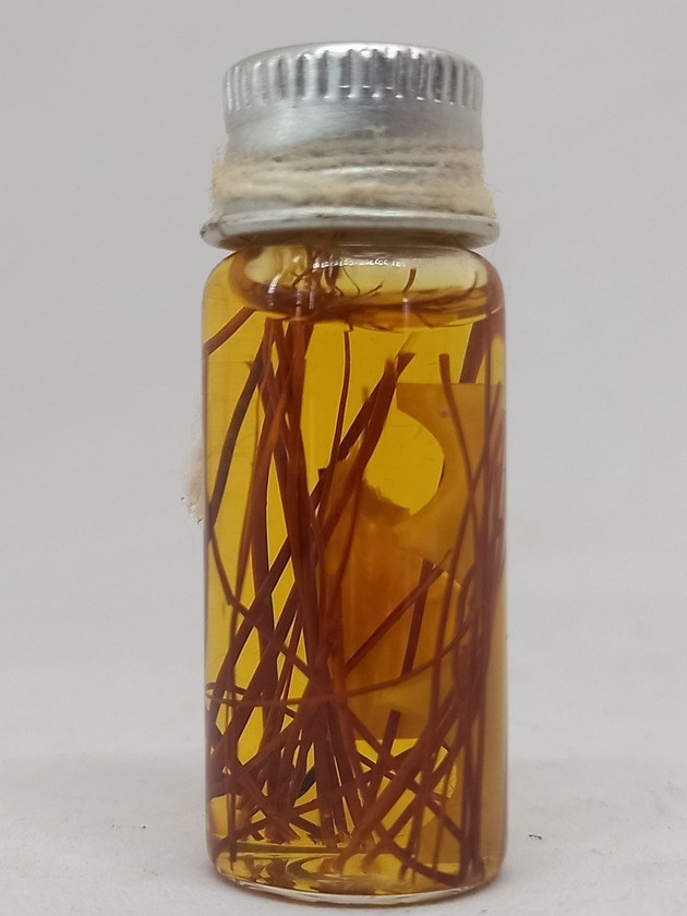 น้ำมันบรมครู กาจับหลัก พ่อท่านเขียว @ พ่อท่านแสง