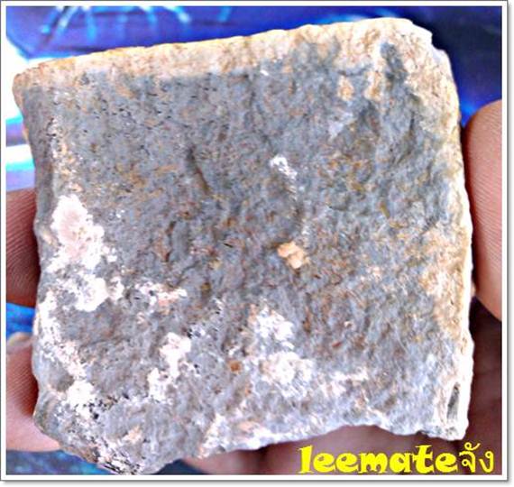 ของสะสมจากดึกดำบรรพ์ให้ทุกท่านเห็นของจริงPucting Vietmamica Trilobiteกลายเป็นหินของแท้ 2