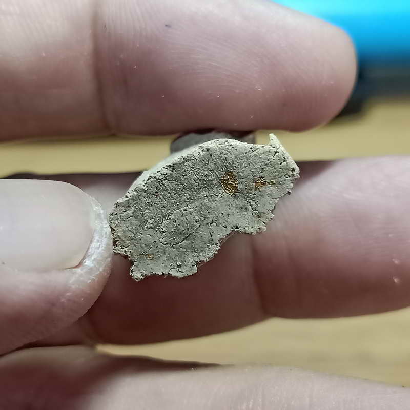 1-335 เสือเนื้อผง หลวงพ่อปาน วัดสว่างอารมณ์ จ.สมุทรปราการ มวลสารดี พิธีเยี่ยม