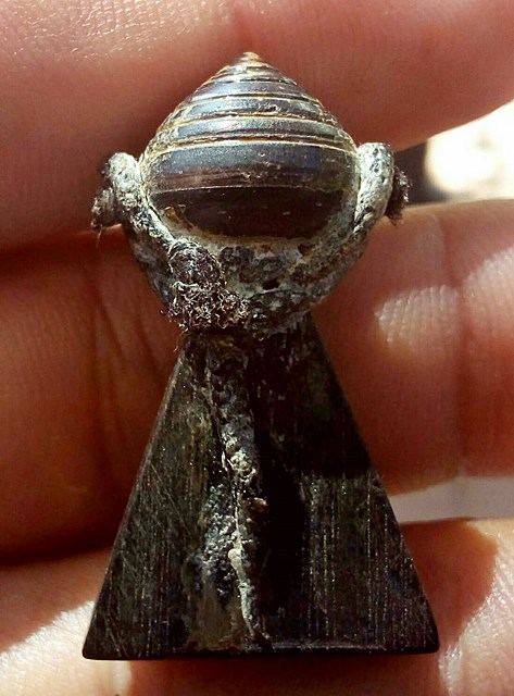 พระสมเด็จ นางพญาไม้งิ้วดำ แกะพิมพ์ทรงปักกลด พุทธศิลป์สวยงาม ดูเข้มขลังสุดๆ หาชมยากครับ