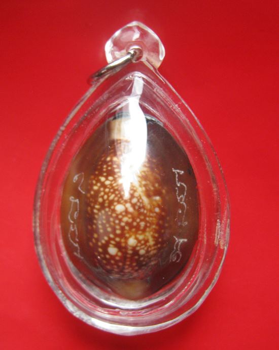 เบี้ยแก้ อุดผงพรายกุมารคลุกรักชันโรง พิธีในโบสถ์ วัดละหารไร่ หลวงปู่บัว ปลุกเสก ปี 54 ฉลองครบ ๒๐๐ ปี