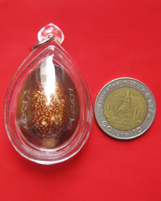 เบี้ยแก้ อุดผงพรายกุมารคลุกรักชันโรง พิธีในโบสถ์ วัดละหารไร่ หลวงปู่บัว ปลุกเสก ปี 54 ฉลองครบ ๒๐๐ ปี