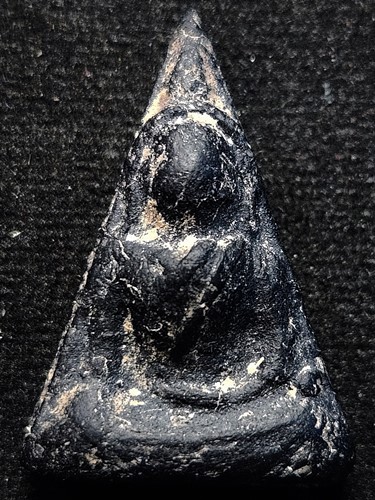 นางพญา (เข่าตุ่ม) อกนูนใหญ่ 
