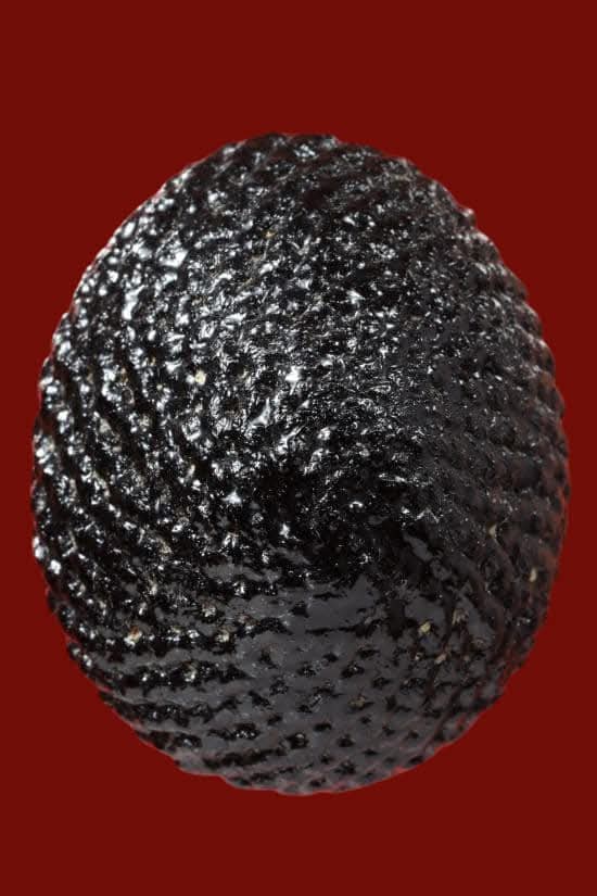 เบี้ยแก้ห่วงทองแดง หลวงปู่เจือ ปิยะสีโล วัดกลางบางแก้ว จ.นครปฐม