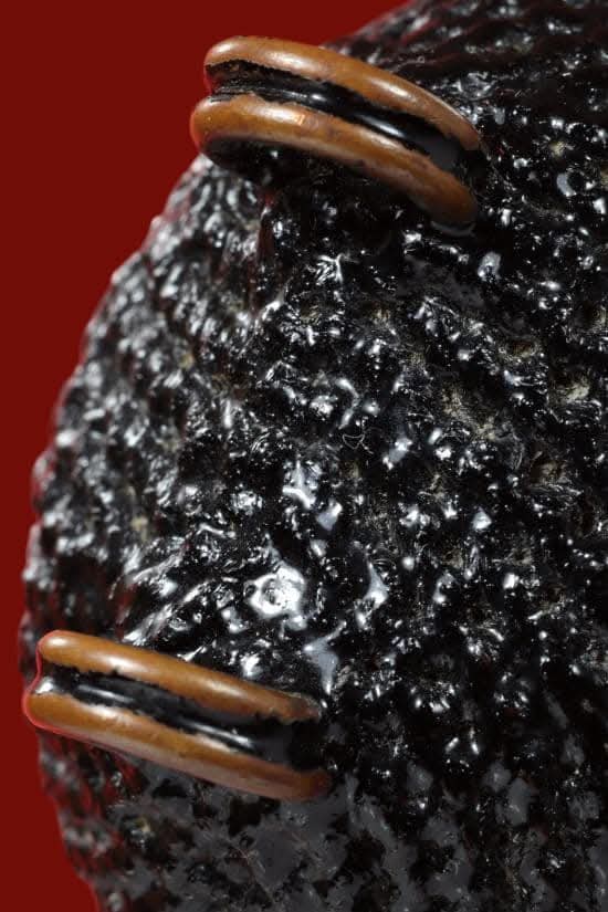 เบี้ยแก้ห่วงทองแดง หลวงปู่เจือ ปิยะสีโล วัดกลางบางแก้ว จ.นครปฐม