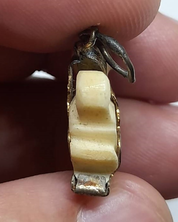 สิงห์สาริกา ตาแดง กระเช้าเดิมวัด