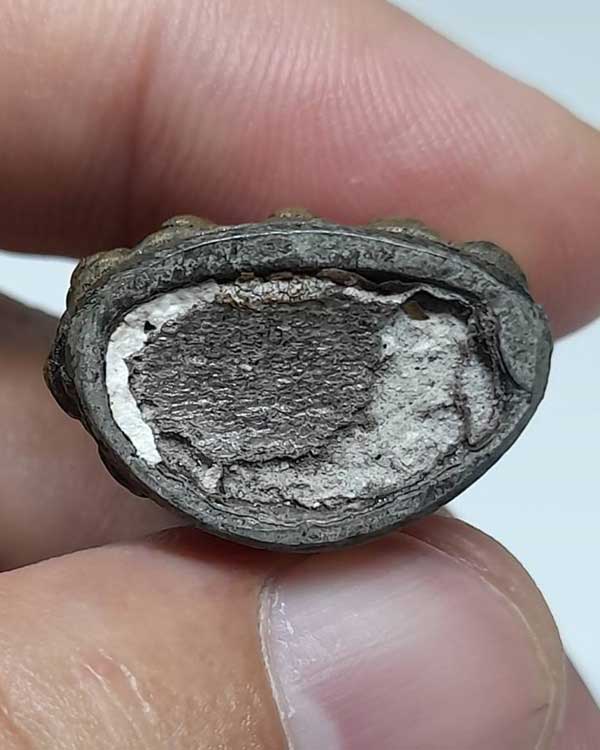 พระกริ่งใหญ่ ไม่ทราบสำนักครับ