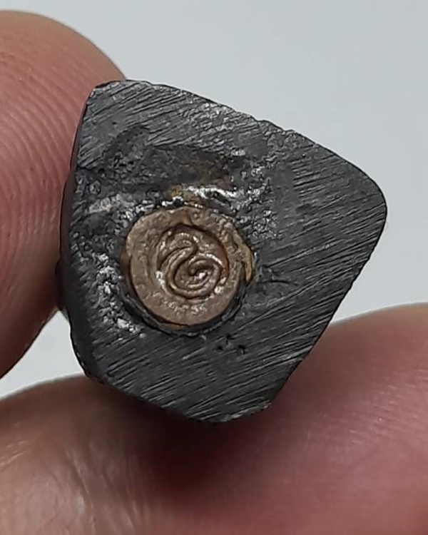 กริ่งรูปหล่อ หลวงปู่ช้าง วัดเขียนเขต อ.ธัญญบุรี จ.ปทุมธานี ปี 2536