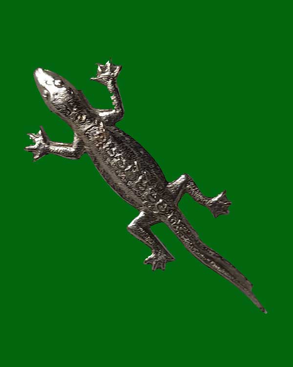 จิ้งจก หลวงพ่อบุญชู วัดหนองโรง จ.กาญจนบุรี ปี 36 กะไหล่เงิน