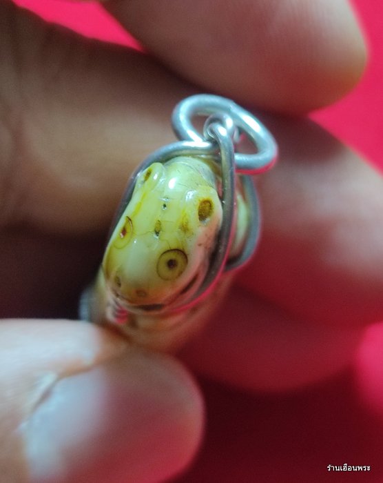 เขี้ยวเสือ ลพ.ไสว วัดปรีดาราม นครปฐม