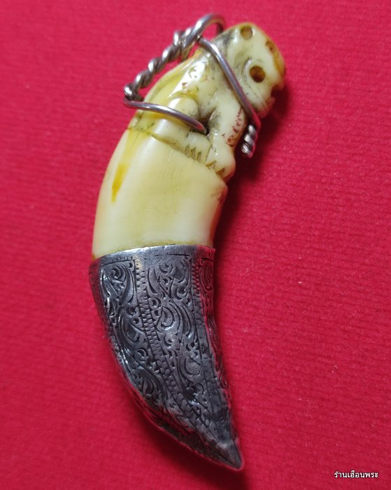 เขี้ยวเสือ ลพ.ไสว วัดปรีดาราม นครปฐม