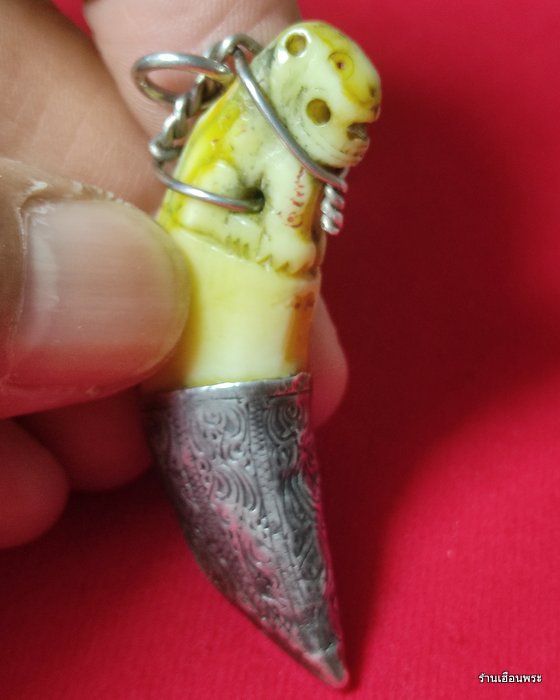 เขี้ยวเสือ ลพ.ไสว วัดปรีดาราม นครปฐม