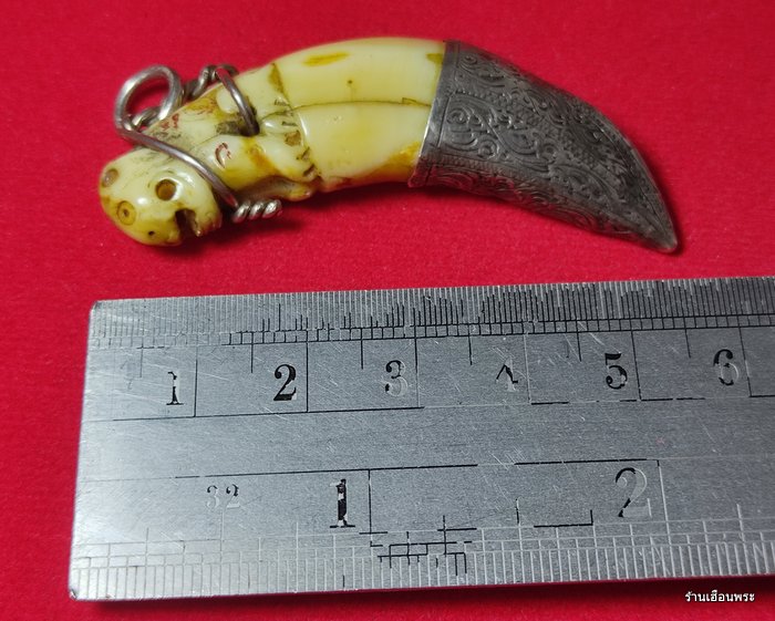 เขี้ยวเสือ ลพ.ไสว วัดปรีดาราม นครปฐม