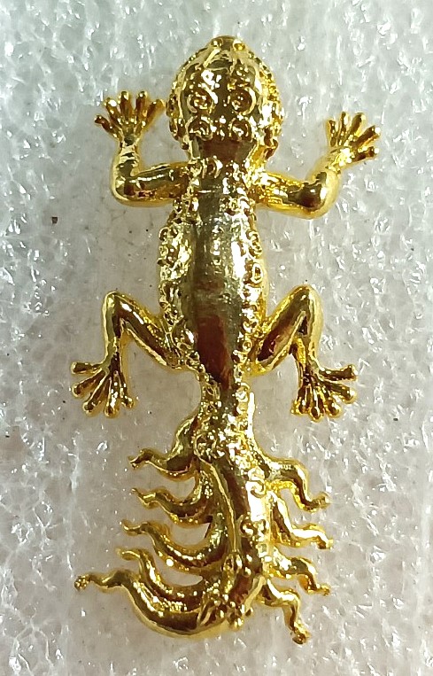 ขี้เกี้ยม ๙ หาง หลวงปู่มหาศิลา สิริจันโท เนื้อมวลสารโลหะอาถรรพ์ชุบทอง ปี2567 พิธีเดียวกับเหนือดวง2 