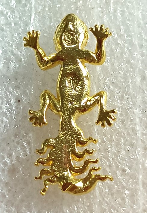 ขี้เกี้ยม ๙ หาง หลวงปู่มหาศิลา สิริจันโท เนื้อมวลสารโลหะอาถรรพ์ชุบทอง ปี2567 พิธีเดียวกับเหนือดวง2 