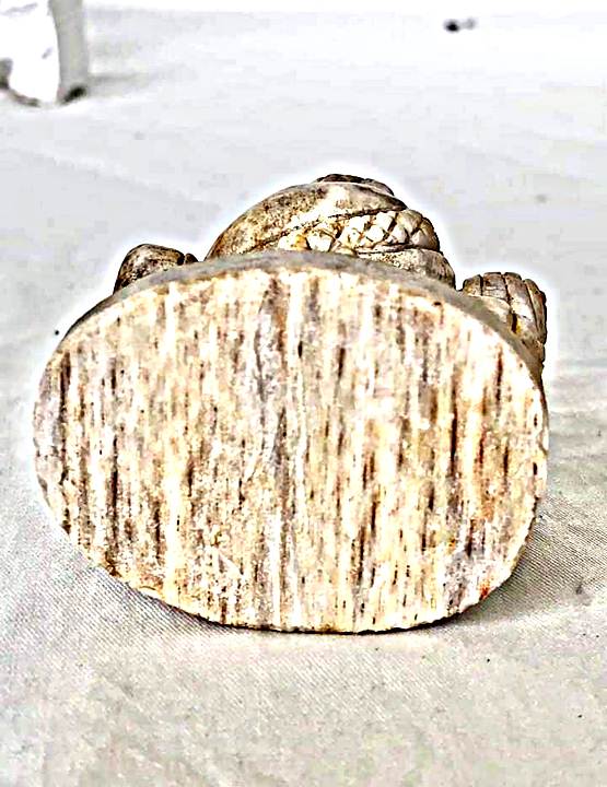 สุดปัง11 องค์พระพิฆเนศ แกะจากไม่อายุล้านล้านปีกลายเป็นหินองค์ใหญ่สวยงามปราณีตมาก