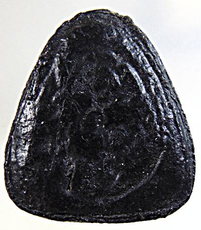 พระสังกัจจายรุ่นแรก หลวงปู่เฮี้ยง วัดป่า ชลบุรี ปี 05 