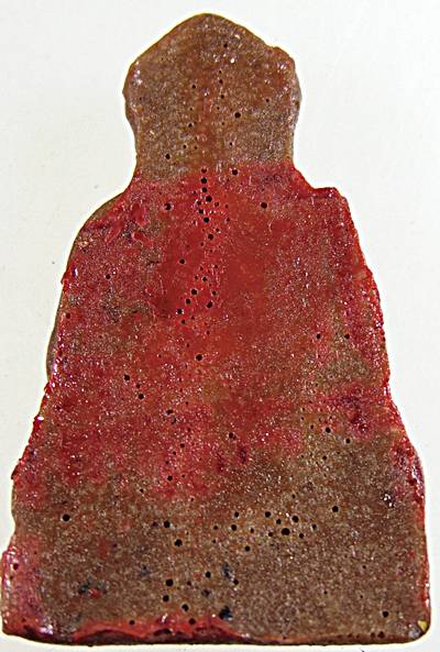 ๒๐ ปู่ไต้ฮงกง