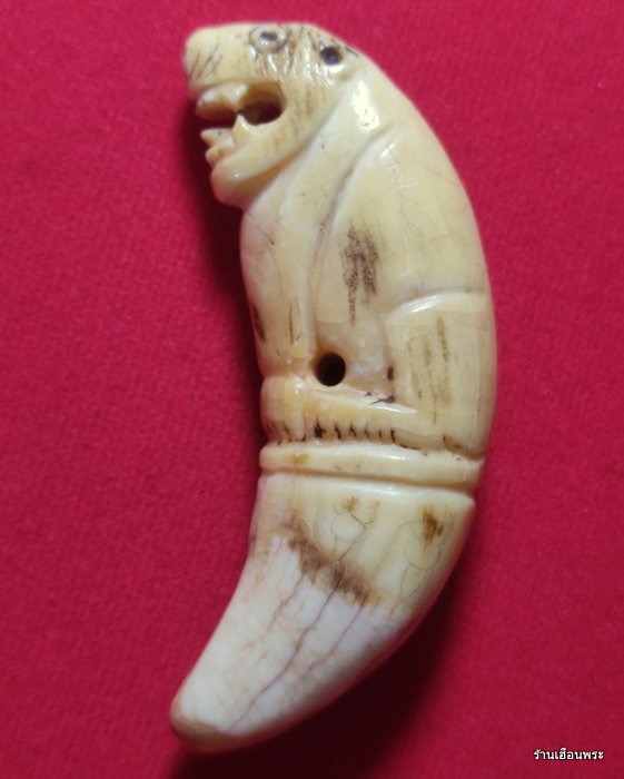 เสือหลวงพ่อนก วัดสังกะสี จ.สมุทรปราการ