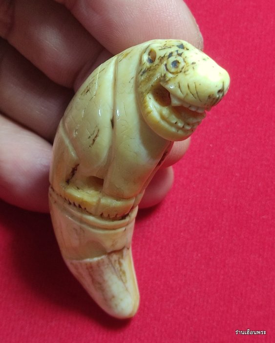 เสือหลวงพ่อนก วัดสังกะสี จ.สมุทรปราการ