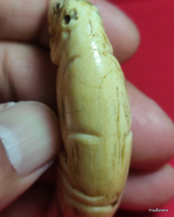 เสือหลวงพ่อนก วัดสังกะสี จ.สมุทรปราการ