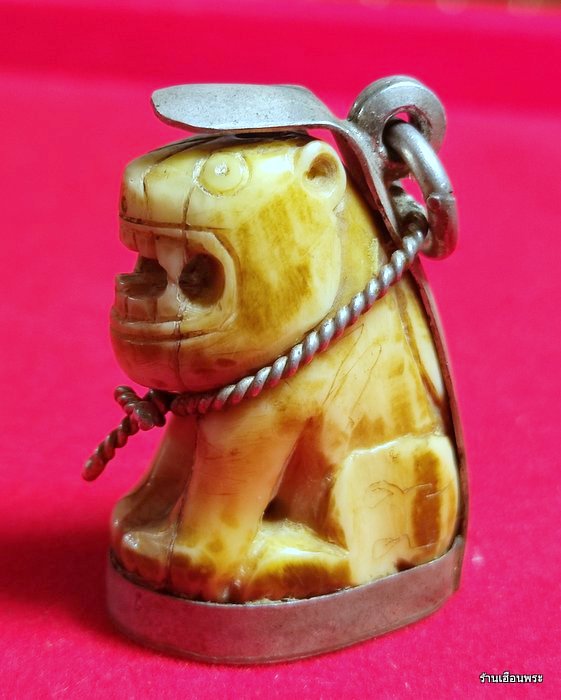 เขี้ยวเสือหลวงพ่อปาน วัดบางเหี้ย (คลองด่าน) พิมพ์อ้าปาก