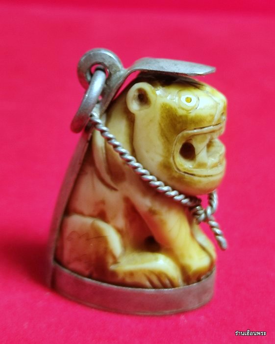 เขี้ยวเสือหลวงพ่อปาน วัดบางเหี้ย (คลองด่าน) พิมพ์อ้าปาก